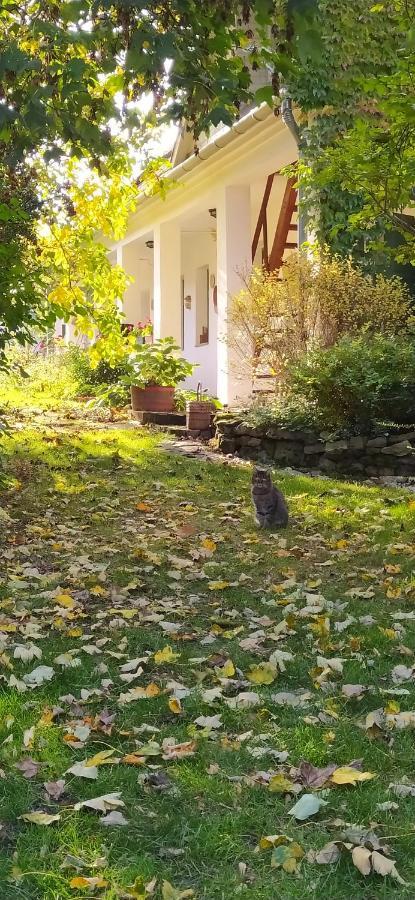 Отель Egkoris Vendeghaz Bakonyszucs Экстерьер фото